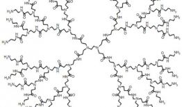 树枝状大分子,构建未来材料与生物技术的关键桥梁