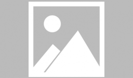 穿越动漫,动漫世界大冒险